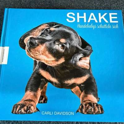 Bücher-Beitrag-Bild