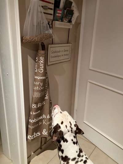 Heute gibt es.....der "ich mach die Leckerlis-Selber-Thread"-Beitrag-Bild