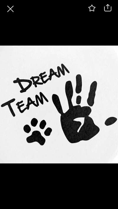 Hundesprüche-Beitrag-Bild