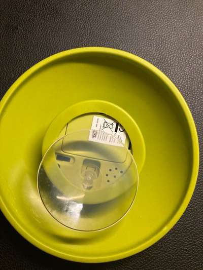 Geistige Förderung-Beitrag-Bild