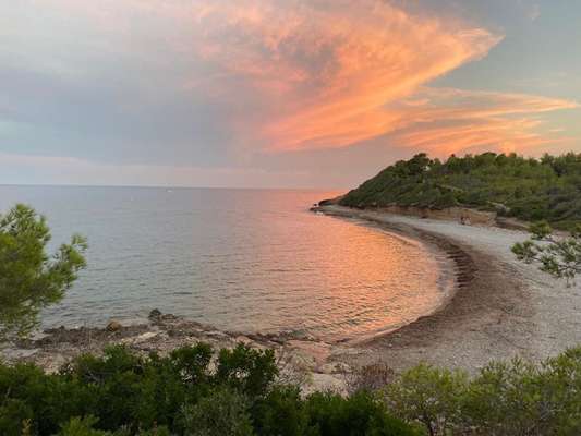 Die wunderschöne Welt mit Hund.-Beitrag-Bild