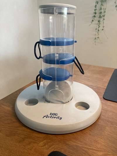 Geistige Förderung-Beitrag-Bild