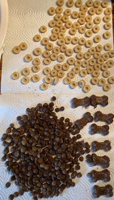 Heute gibt es.....der "ich mach die Leckerlis-Selber-Thread"-Beitrag-Bild