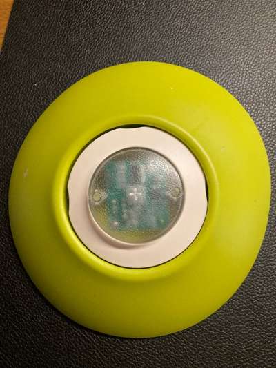 Geistige Förderung-Beitrag-Bild