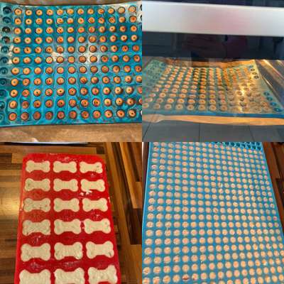 Heute gibt es.....der "ich mach die Leckerlis-Selber-Thread"-Beitrag-Bild