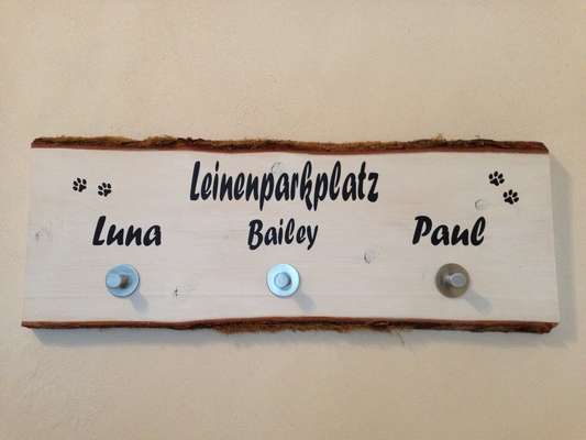 Bastelstunde für den Vierbeiner-Beitrag-Bild