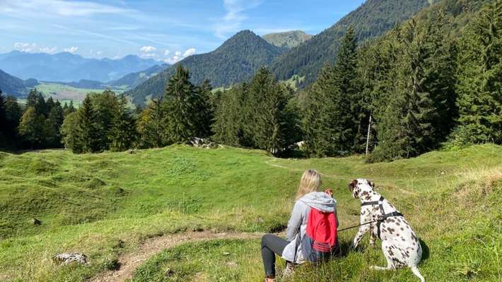 Die wunderschöne Welt mit Hund.-Beitrag-Bild