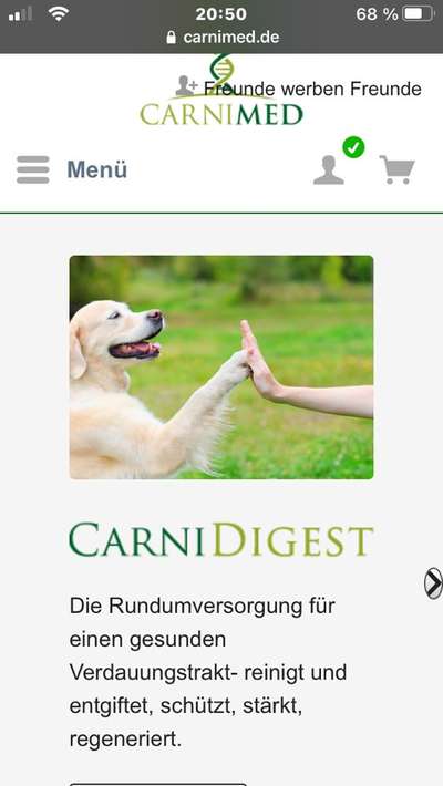 Darm aufbauen-Beitrag-Bild