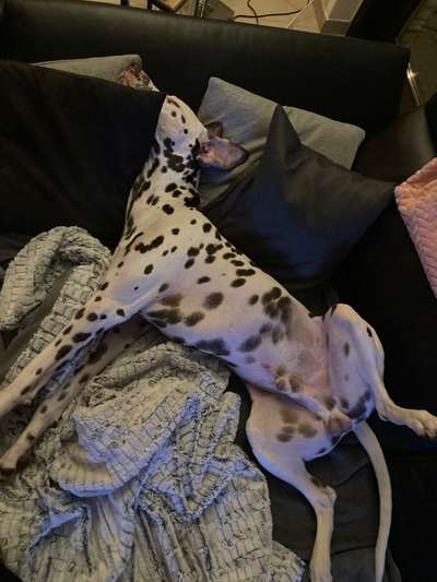 Fotochallenge Nr.65-Beitrag-Bild