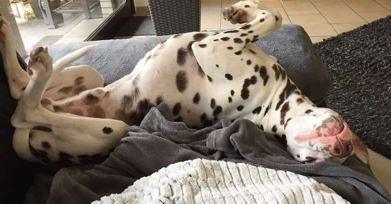 Die unbequemsten und lustigsten Schlafpositionen-Beitrag-Bild