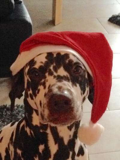 Fotochallange Nr. 57     PORTRÄT.   Beendet!!!!!!!!-Beitrag-Bild