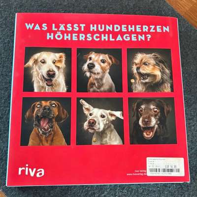 Bücher-Beitrag-Bild