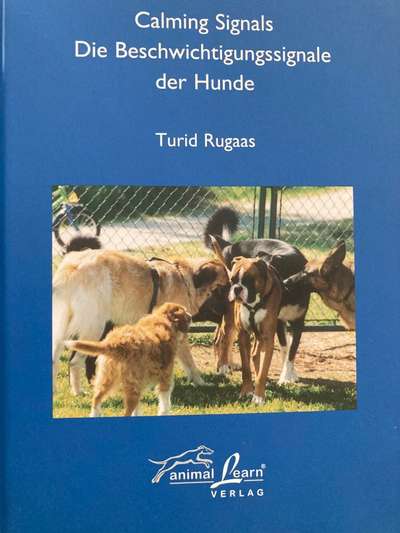 Gute Hundebücher-Beitrag-Bild