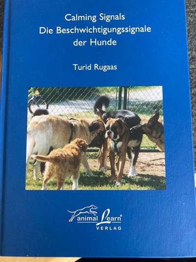 Verstehen der Hundesprache-Beitrag-Bild