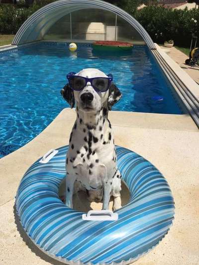 Foto Challenge - BEENDET - bitte aktuelle Challenge nutzen-Beitrag-Bild