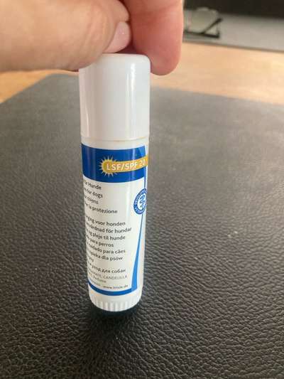 Sonnencreme für Hunde OHNE geruch-Beitrag-Bild