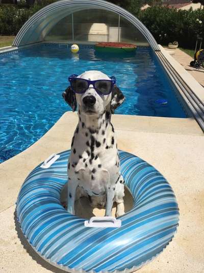 10. Farben Foto-Challenge ---- Blau-Beitrag-Bild