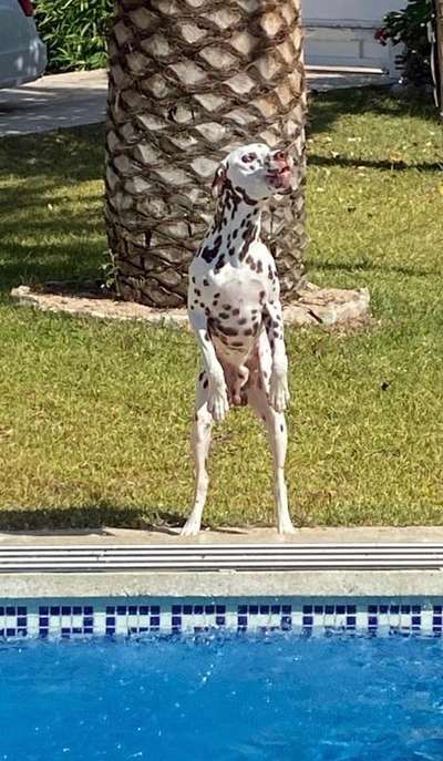 Fotochallenge No. 5-Beitrag-Bild