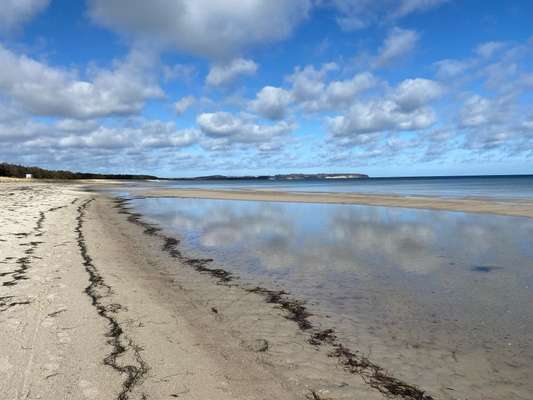 Hundeurlaub in Stralsund?-Beitrag-Bild