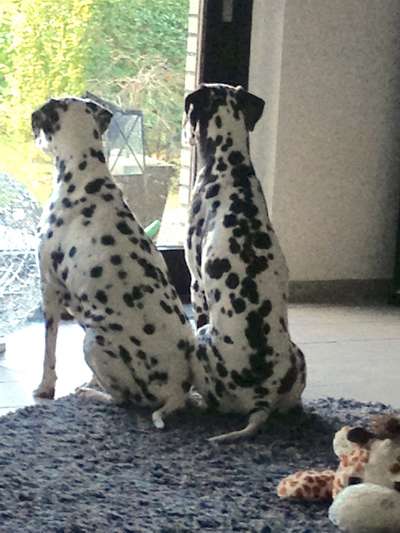 Challenge 30  Freundschaft-Beitrag-Bild