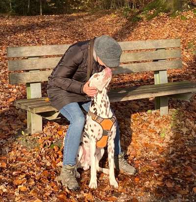 Fotochallenge Nr. 62 Romantische Momente-Beitrag-Bild