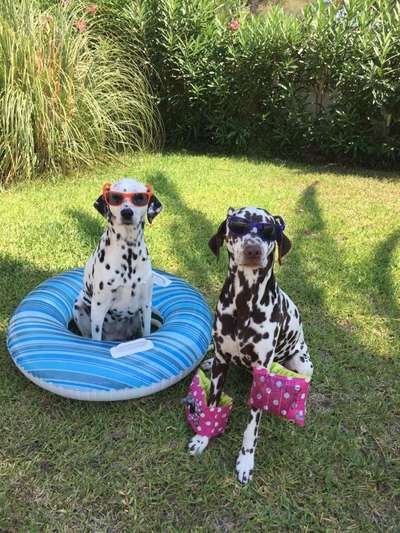 Fotochallenge Nr. 67: Euer Lieblingsbild-Beitrag-Bild