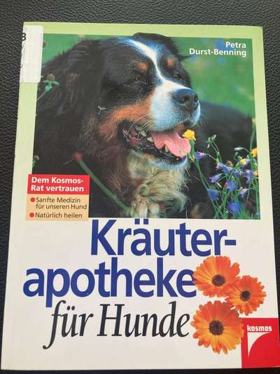 Bücherempfehlung Naturheilkunde Hunde-Beitrag-Bild