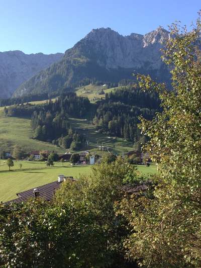 Die wunderschöne Welt mit Hund.-Beitrag-Bild