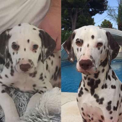 Vorher.... Nachher-Beitrag-Bild