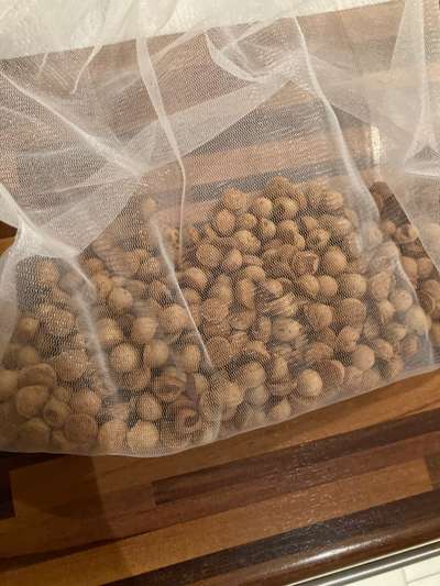 Heute gibt es.....der "ich mach die Leckerlis-Selber-Thread"-Beitrag-Bild