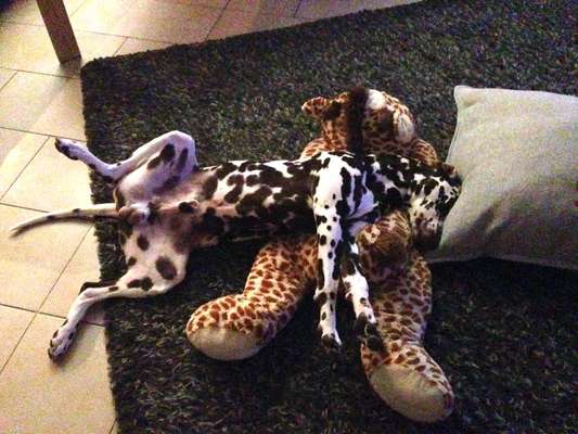 Fotochallenge Nr.65-Beitrag-Bild