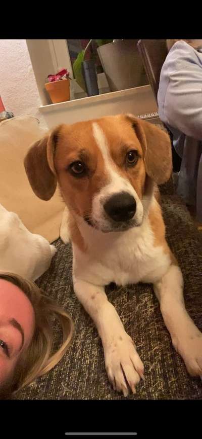 Ursache fürs Anspringen finden und beheben-Beitrag-Bild