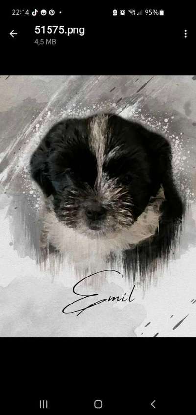 Zeigt eure Portraits-Beitrag-Bild