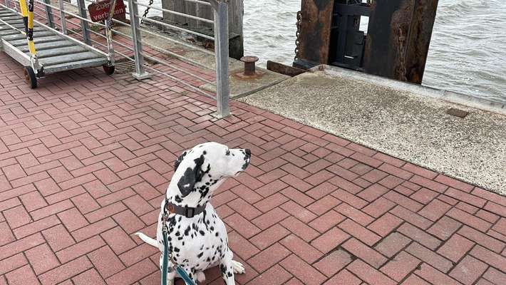 Fotochallenge 101:
On Tour-Beitrag-Bild