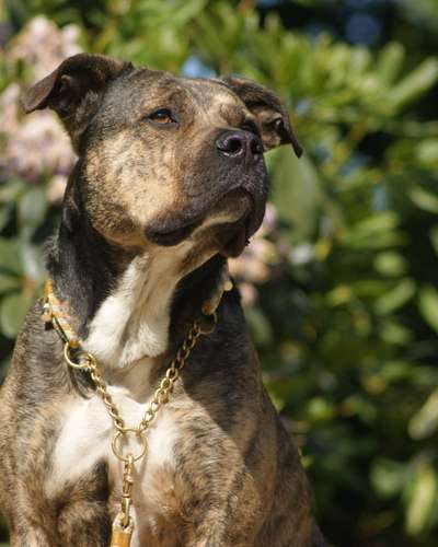 Lieblingsbild-Beitrag-Bild