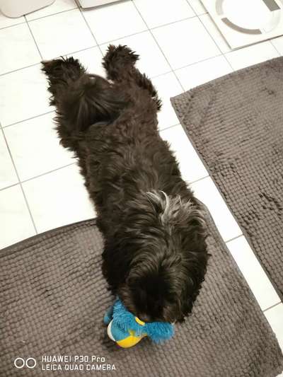 Die unbequemsten und lustigsten Schlafpositionen-Beitrag-Bild