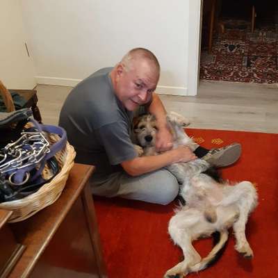 Hundetreffen-Gassigeh Runde