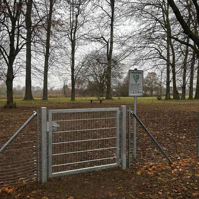 Hundeauslaufgebiet-Freilauffläche für Hunde-Bild