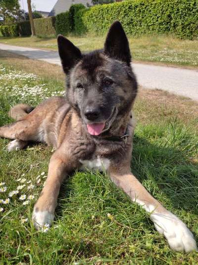 Handyfoto challenge Nr. 13: Waschlappen raus!-Beitrag-Bild