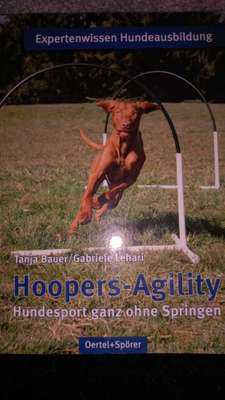 Hoopers-Agility, die "neue" Sportart in Deutschland-Beitrag-Bild