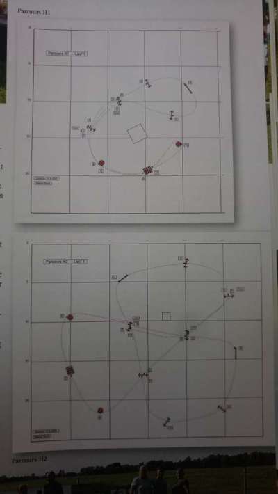 Hoopers-Agility, die "neue" Sportart in Deutschland-Beitrag-Bild