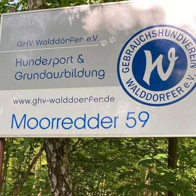 Hundeschulen-Hundesportverein GHV Walddörfer-Bild