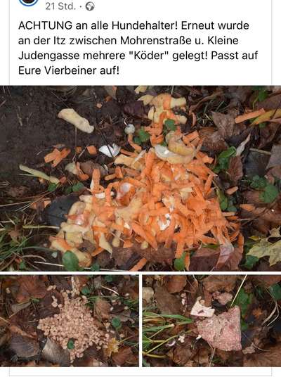 Giftköder-Köder, vermutlich Gift oder anderes-Bild