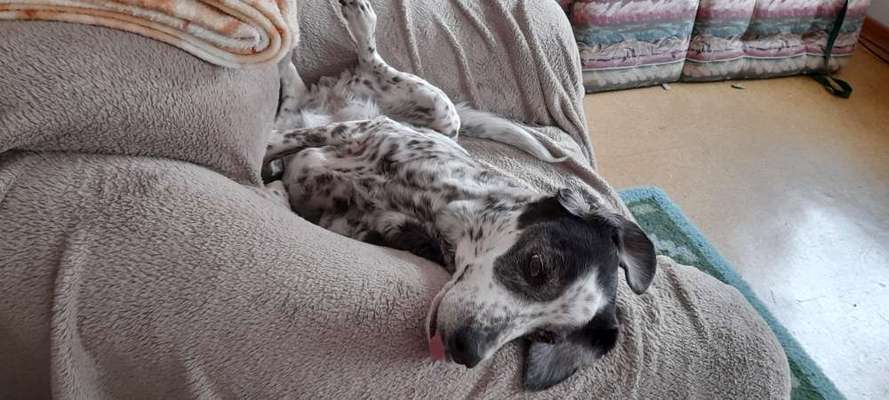 Lieblingsbild-Beitrag-Bild