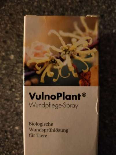 Verletzung am Pfotenballen-Beitrag-Bild