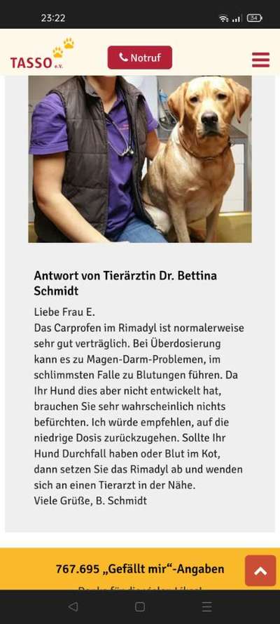 Nebenwirkungen Ramidyl-Beitrag-Bild