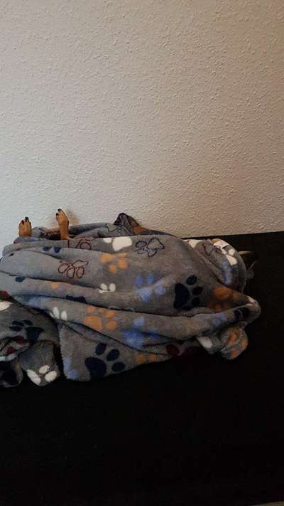 Schlafzeit!💖-Beitrag-Bild