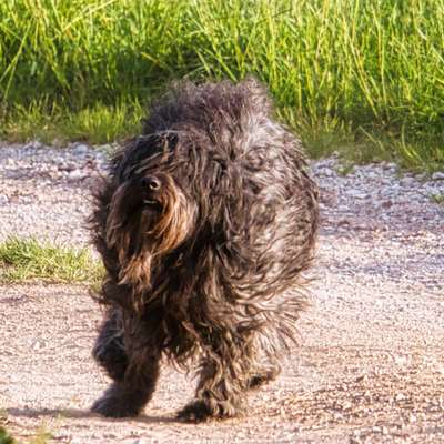 Fotochallange 84-Beitrag-Bild