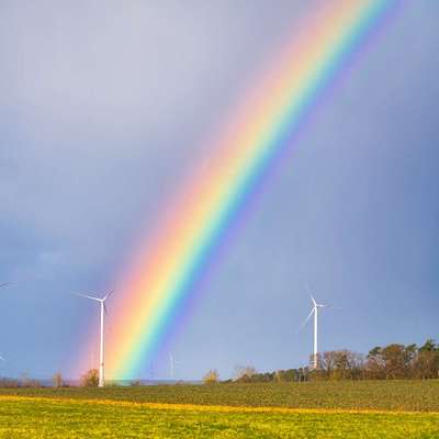 Die wunderschöne Welt mit Hund.-Beitrag-Bild
