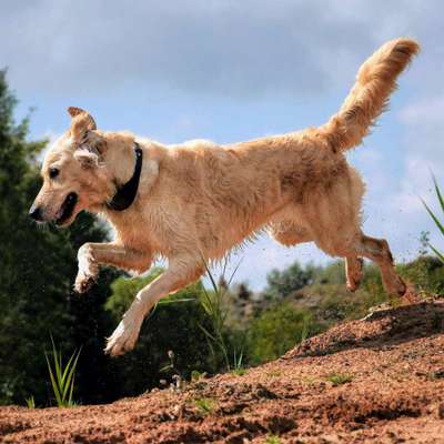 Fotochallenge Nr. 52 „Spring!“-Beitrag-Bild